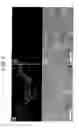 Fig. 04 - SKIN BARRIER FUNCTION RECOVERY ACCELERATOR
