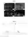 Fig. 02 - COMPOSITIONS AND METHODS FOR THE PREVENTION AND TREATMENT OF HYPERTENSION