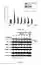 Fig. 07 - Method for anti-oxidation, inhibiting activity and/or expression of matrix metalloproteinase, and/or inhibiting phosphorylation of mitogen-activated protein kinase using neonauclea reticulata leaf extracts