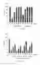 Fig. 08 - Method for anti-oxidation, inhibiting activity and/or expression of matrix metalloproteinase, and/or inhibiting phosphorylation of mitogen-activated protein kinase using neonauclea reticulata leaf extracts