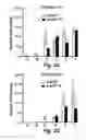 Fig. 06 - Antimicrobial composition and use as food treatment