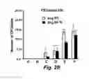 Fig. 07 - Antimicrobial composition and use as food treatment