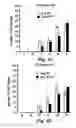 Fig. 09 - Antimicrobial composition and use as food treatment