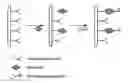 Fig. 01 - Biochip array with a three-dimensional structure and method for forming the same