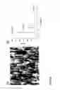 Fig. 07 - METHOD OF PRODUCING COMPOUND NANORODS AND THIN FILMS