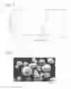 Fig. 04 - Ceramic honeycomb structure and its production method