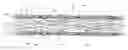 Fig. 01 - TEXTILE CORE HAVING CONTINUOUS GLASS FIBERS