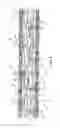 Fig. 04 - TEXTILE CORE HAVING CONTINUOUS GLASS FIBERS