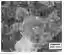 Fig. 01 - Composition containing single-walled nanotubes
