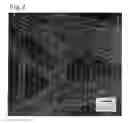 Fig. 03 - Composition containing single-walled nanotubes