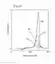 Fig. 13 - Composition containing single-walled nanotubes