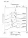 Fig. 15 - Composition containing single-walled nanotubes