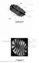 Fig. 04 - Method and Apparatus for Making an Improved High Surface Area Fiber