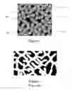 Fig. 05 - Method and Apparatus for Making an Improved High Surface Area Fiber