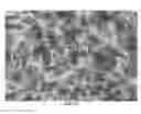 Fig. 03 - Nanowire preparation methods, compositions, and articles