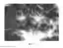 Fig. 04 - Nanowire preparation methods, compositions, and articles