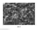 Fig. 05 - Nanowire preparation methods, compositions, and articles