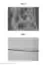 Fig. 04 - Anode of cable-type secondary battery and manufacturing method thereof