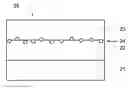 Fig. 01 - Organic negative electrode with chlorophyll and battery using the organic negative electrode