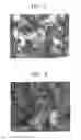 Fig. 04 - Conductive composition and method of preparation, polymer thereof, and electrode, electrolyte membrane and fuel cell including the composition or polymer