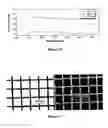 Fig. 07 - Sulfur-containing macromolecules and methods for their preparation