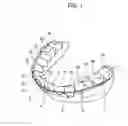 Fig. 02 - ORTHODONTIC APPLIANCE