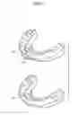 Fig. 04 - ORTHODONTIC APPLIANCE