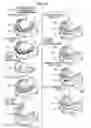 Fig. 38 - ORTHODONTIC APPLIANCE