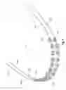 Fig. 09 - Low Force Orthodontic Arch Wire Having Blocks for Improved Treatment