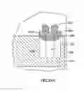 Fig. 29 - Orthodontic gripping device