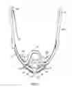 Fig. 04 - Methods useful for remodeling maxillofacial bone using light therapy and a functional appliance