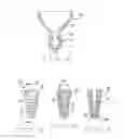 Fig. 03 - Apparatus for cleaning a root canal system