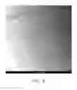 Fig. 10 - Nerve graft