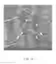 Fig. 12 - Nerve graft