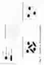 Fig. 02 - Method for detecting analytes