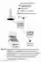 Fig. 28 - Method for detecting analytes