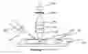 Fig. 01 - CHROMATOGRAPHIC SYSTEM FOR NUCLEIC ACID DETECTION