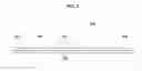Fig. 02 - CHROMATOGRAPHIC SYSTEM FOR NUCLEIC ACID DETECTION