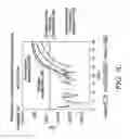 Fig. 10 - DNA methylation detection methods