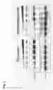 Fig. 04 - Method of screening a substance for improving insulin resistance