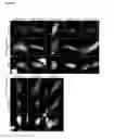 Fig. 03 - Detection and visualization of the cell cycle in living cells