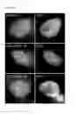 Fig. 12 - Detection and visualization of the cell cycle in living cells
