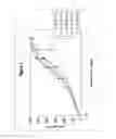 Fig. 04 - Antigen binding molecules that bind EGFR, vectors encoding same, and uses thereof