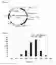 Fig. 09 - BIOASSAY METHOD FOR ANTIBODY AGAINST THYROID-STIMULATING HORMONE RECEPTOR, MEASUREMENT KIT FOR THE ANTIBODY, AND NOVEL GENETICALLY MODIFIED CELL FOR USE IN THE BIOASSAY METHOD OR THE MEASUREMENT KIT