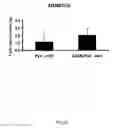 Fig. 11 - Adam12, A Novel Marker For Abnormal Cell Function