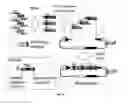 Fig. 05 - Nucleic acids for cloning and expressing multiprotein complexes