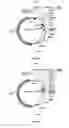 Fig. 16 - Nucleic acids for cloning and expressing multiprotein complexes