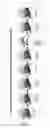 Fig. 20 - Nucleic acids for cloning and expressing multiprotein complexes