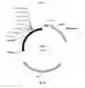 Fig. 22 - Nucleic acids for cloning and expressing multiprotein complexes