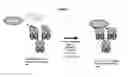 Fig. 02 - Modified antibody compositions, methods of making and using thereof